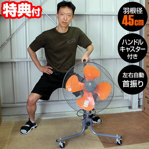 yGg[őS10{zYUASA AT 45cmLX^[ttA[H YFC-458T tA@ ^@ HƐ@ Cz H@ T[}veN^[ LX^[t 
