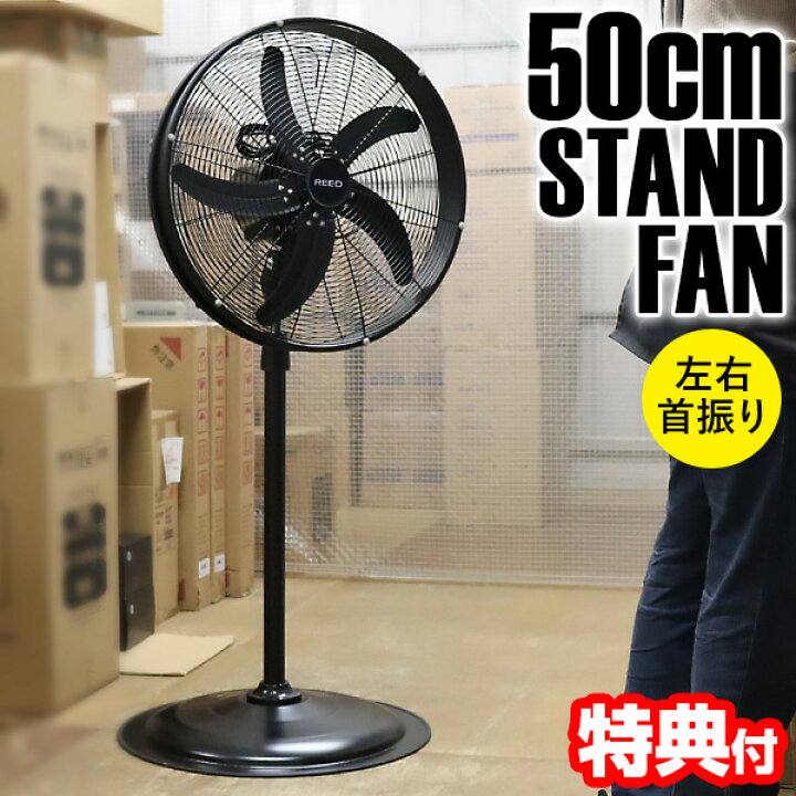 楽天市場】【選ぶ景品】 ReeD 50cm左右首振り 強力風 スタンドファン 