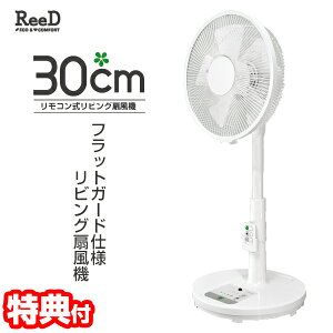 yIԌiitzReeD 30cmR rO@ RD-BRS3024 @ R@ T[L[^[ @rOt@ @@@u@ tbgK[hdl Rt