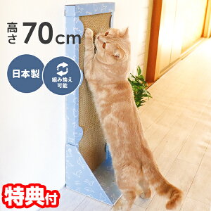 yPő48{&N[|zŵт̂ c^ ܂Ƃ X^h^Cv i{[ ߂Ƃ ybgpi L c^ X^fBO^Cv ȃXy[X ˂̂߂Ƃ  ܂Ƃ΍ ^[^ g