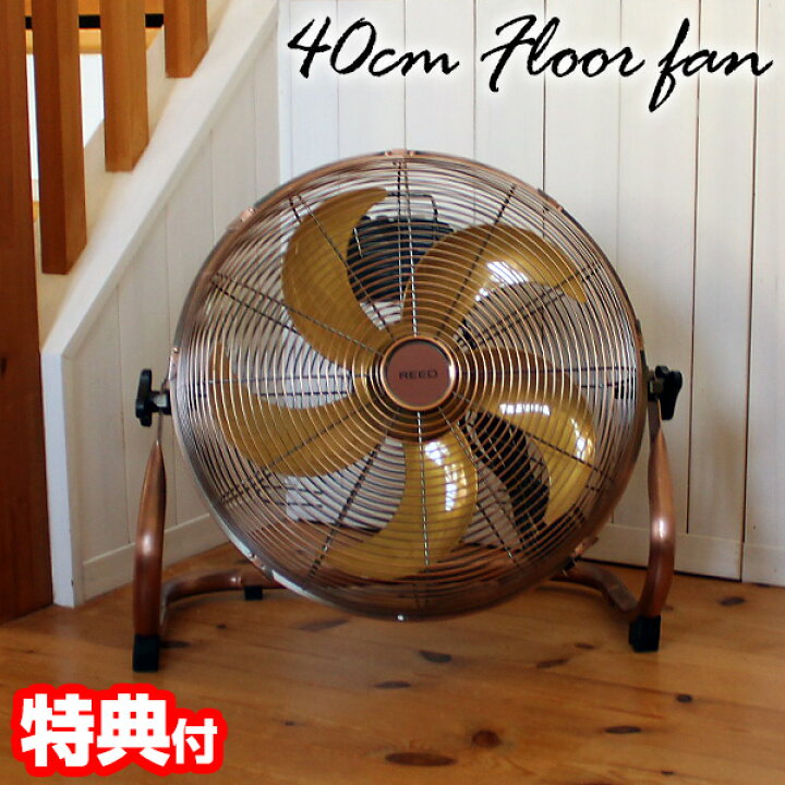 楽天市場】【4/5限定2人に1人最大100%P】【選ぶ景品】 ReeD 40cm 