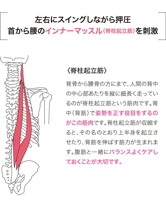 楽天市場】TVで紹介 えいマット エイマット かたまった背中をゆらゆら 