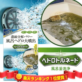 SNSで話題 ヘドロトルネード 風呂釜洗浄剤 1つ穴用 穴中汚れ リベルタ 風呂釜洗浄 配管洗浄 風呂釜・配管の汚れ 雑菌 スッキリ ヘドロ汚れ 洗浄機 カビ取り 風呂洗浄 風呂掃除 追い炊き運転 風呂釜 洗浄器 ふろがま 風呂釜クリーナー プロ仕様 ヘドロ除去 [8月下旬入荷]