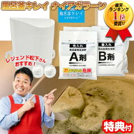 TVで紹介 風呂釜キレイ ナイアガラーン 2回分 風呂釜洗浄剤 1つ穴用 レジェンド松下 風呂釜洗浄機 配管洗…