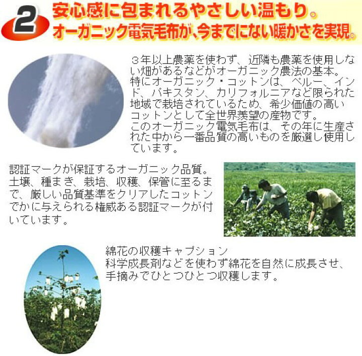 楽天市場 送料無料 ゼンケン 電磁波カット オーガニックコットン毛布 Zb Oc101sgt 電気掛け敷き 電磁波防止電気毛布 Zboc101sgt 電磁波カット電気毛布 電磁波カット毛布 電気毛布 綿毛布 子供 赤ちゃん 大人 掛け敷き毛布 マツカメショッピング