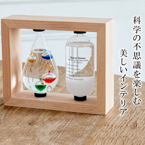 s2000~N[|zztXg[OX KIxv xv v Xg[OX  킢 IV  k G CeA fBXvC KI TCGX Ȋw 