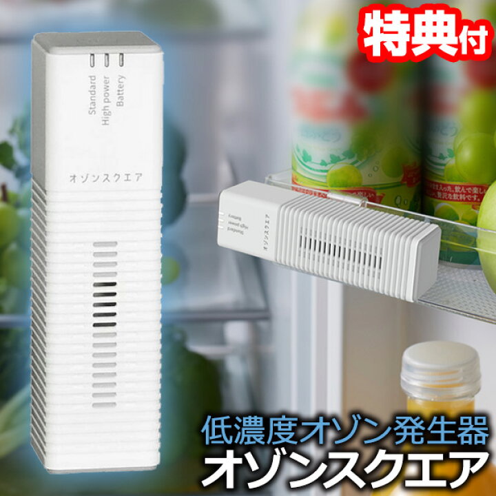 楽天市場】【7/20限定2人に1人最大100%P】低濃度オゾン発生器 オゾン 