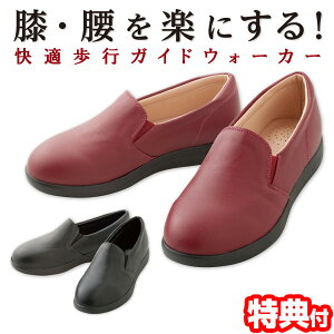 sN[|zztKChEH[J[ Xb| S M L fB[X Xj[J[ V[Y Ռz C\[ RtH[gV[Y ₷ ]тɂ ]|h~ C y  y Nc 