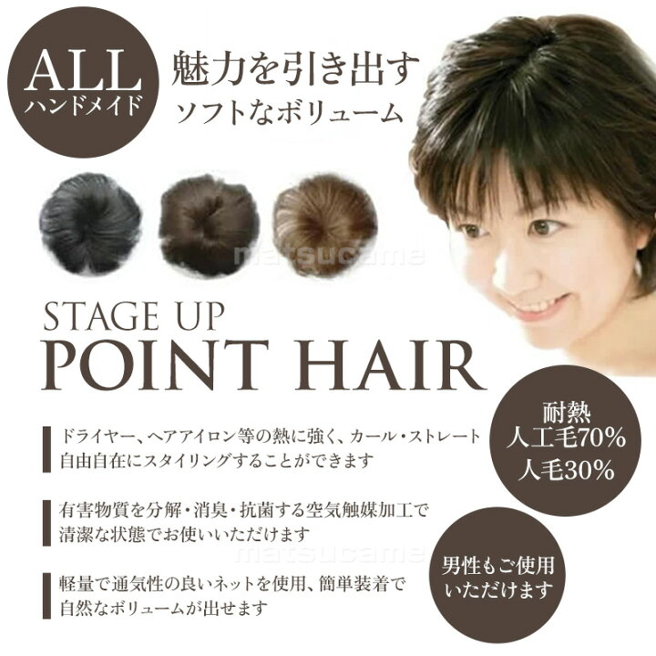 楽天市場】《250円クーポン配布中》ポイントヘア Mサイズ ヘア 