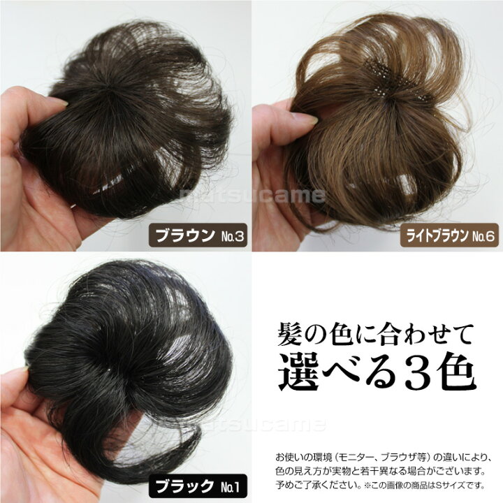 楽天市場】《250円クーポン配布中》ポイントヘア Mサイズ ヘア 