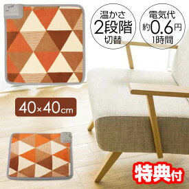 【1/15限定2人に1人最大100%P】ソファー 椅子 ホットマット イス ヒーター ストーブ 40×40cm ホットクッション 1人用 床暖房 電気座布団 節電 電気マット 足元暖房 お尻ヒーター 電気座布団 足温機 一人用 ミニカーペット ホットカーペット 足元カーペット 床暖房 ホット