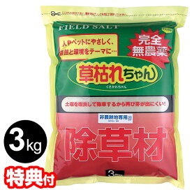 【12/10限定2人に1人最大100%P】日本製 完全無農薬 除草剤 草枯れちゃん 3kg 無農薬除草材 くさかれちゃん 3キロ 非農耕地専用 除草材 無農薬 墓 遊歩道 石畳 路地 目地 掃除 雑草 根まで枯らす 効果長持ち 天然素材 土壌改良 フィールドソルト 弱酸性