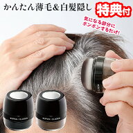 【P最大47倍&クーポン】日本製 ポンポン頭皮ファンデーション 簡単 白髪隠し ポンポン 薄毛隠し パウダー…