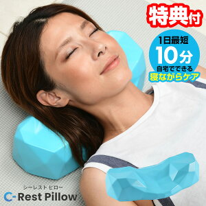 y9/52l1lő100%PzyIԌiiz V[Xgs[  lbNs[     Xgb` L΂ w X}z lbNXgb`[ ܂ X}z C-Rest Pillow 
