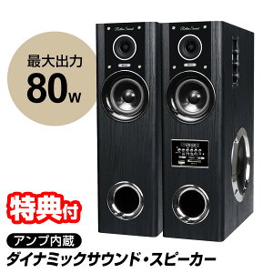 s400~N[|zztyIԌiiz N}ULGC Av^[Xs[J[ DS-12 AvXs[J[ 80W yĐ@ ^[Xs[J[ AvXs[J[Zbg TEh f y