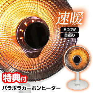 s2000~N[|zztyIԌiiz GXPCWp g p{J[{q[^[ SKJ-BL81CC dCq[^[ ^q[^[ J[{q[^[ dCXg[u Uq[^[ q[^[ 