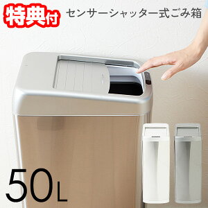 y11/252l1lő100%PzyIԌiiz ZT[Vb^[ݔ 50L ZT[ S~ 50bg ӂt ZT[ ݔ J S~ L R Ȃ _Xg{bNX Wt