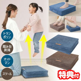 【1000円クーポン配布中】TVで紹介 新型 トランポリン クッション 家庭用 スリムタイプ クッション ジャンプ運動 飛び跳ね マット 大人 子供 ダイエット トランポリン風クッション 静音トランポリン 体幹ぴょんぴょんホップステッパー ジャンプ運動 体幹エクササイズ クッ