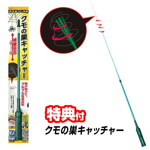 N̑Lb`[ KSC-01 w偂̑ Lk 120cm 220cm  w偂̑Ƃ_ dr N̑ ΍  N̑ w偂̑_  N̑ Nގ N N̑