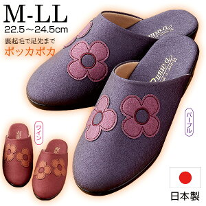 y11/102l1lő100%PzY݂gT_  t[ { T_ ԕ N ۂۂ fB[X ~p  L 4E   M L LL T_ ~