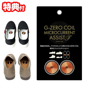 s2000~N[|zztyIԌiiz G-ZERO COIL W[[RC }CNJg AVXgF24 Cɓ\ [ GHE-G04 W[[RC dgJbg C  L G[ C\[ ̓d 