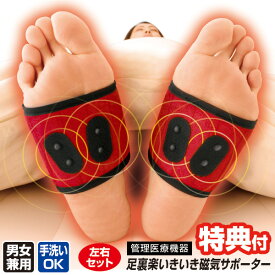 日本製 管理医療機器 足裏楽いきいき磁気サポーター 左右セット 足裏 磁気サポーター 磁器サポーター 医療機器 疲れ 冷え 改善 サポーター 磁気治療器 足裏サポーター 足 足裏用サポーター 足裏いきいき 磁気サポーター 足裏いきいき 足裏楽