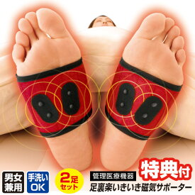 【選ぶ景品】 2足組 日本製 管理医療機器 足裏楽いきいき磁気サポーター 左右セット 足裏 磁気サポーター 医療機器 疲れ 冷え 改善 サポーター 磁気治療器 足裏サポーター 足 足裏用サポーター 足裏いきいき 磁気サポーター 足裏いきいき 足