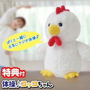 ̑RbR WȊ ׂ  ׂʂ ꏏɃWȊ ɂƂ b ʂ ̑ NK  Ƃ l`  ̑ RbR` ̑