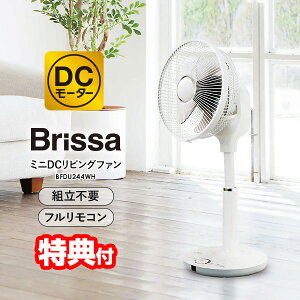 s2000~N[|zztyIԌiiz ubT dCő50It DC[^[@ É ȃGl R 24cm 5H T[L[^[ t@ DCrOt@ Brissa BFDU244WH DC@ 