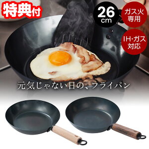 s2000~N[|zztyIԌiiz { c CȂ̃tCp IHEKXΉ / KXΐp 26cm StCp Ȃ炵sv S tCp y IH Ή S S⋋ S