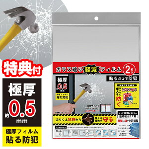 sN[|zztHIRO hƑKXtB KXjytB 2 HED-8452 KX hƃtB h KX hƑ΍ptB KXV[g KXtB  