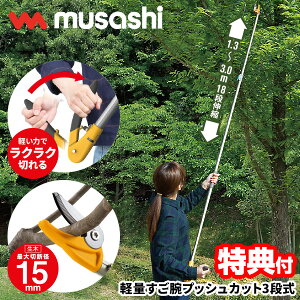 y9/52l1lő100%PzyIԌiiz }؂oT~ 3m TV yʂrvbVJbg 3i Arn }؂ musashi 530 y }؂͂ }؂oT~ } }؂nT~ 