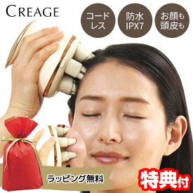 【選ぶ景品】 ヤーマン クリアージュ ディープスパリフト 新型 CR051T 頭皮 ヘッドスパ スカルプケア アタッチメント2種 YA-MAN CREAGE 2WAY スカルプ 電動 頭皮ケア 美顔マッサージ 防水 デープスパリフト スカルプ エステ リフト 頭皮マッサージ テレビ 通販 送料無料