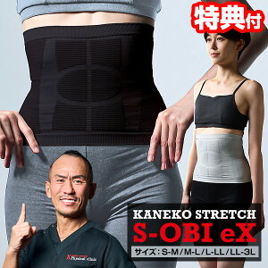 TV�Љ�y�I�Ԍi�i�t�z �V�^ S��eX ���q������ ���S�ďC 2026�N�� S��EX �G�b�N�X S���� ���q������ s�� �G�X��ex ���،`�󈳃x���g �G�X�� �G�X�I�r�G�b�N�X �p������ �����C���i�[ �j�����p �G�X