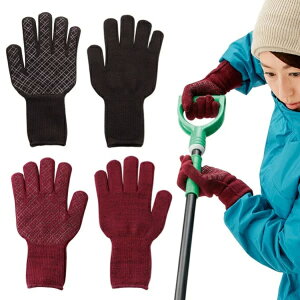 y12/12l1lő100%Pz h fB[X Y { t[TCY oCN ʋ ʊw ~ O[u ] ނ AEghA   ܖ{w Ⴉ ~ ~ߕt Xx