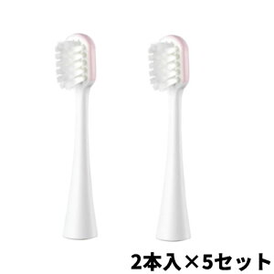 y12/12l1lő100%Pz10{ Panasonic hcւuV EW0970 XlbNuV 2{×5Zbg(10{) pi\jbN gUnuV hc EW-DM51 pւuV EW0970-W XlbNu