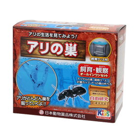 【4/25限定2人に1人最大100%P付与】アリ観察セット アリ伝説 後継品 アリの巣 観察飼育セット アリ飼育セット あり飼育キット アリ飼育セット アリの巣を観察できます インテリアオブジェに アリ観察 あり伝説 自由研究 アリ観察キット 自主学習 勉強 小学生 幼稚園