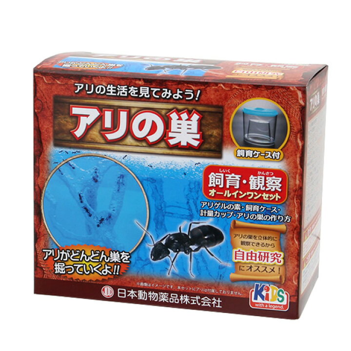 楽天市場 00円クーポン配布中 アリ観察セット アリ伝説 後継品 アリの巣 観察飼育セット アリ飼育セット あり飼育キット アリ飼育セット アリの巣を観察できます インテリアオブジェに アリ観察 あり伝説 自由研究 アリ観察キット 自主学習 勉強 小学生 幼稚園