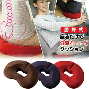 쎮 邾ōՃLbƃNbV 쎮 ᔽ~NbV J[V[g ՃNbV ՃV[g Ջ֎q ՃCX 邾 Ԃ̃fXN[NhCuɍœK