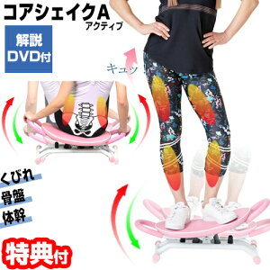 RAVFCN ANeBu LW-G3228A KayanoďCDVDt 2wayՃXebp[ ^ ^ RAVFCNA LWG3228A VbeBO`FA