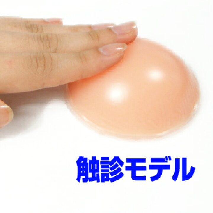 楽天市場】乳がん触診モデル（しこりチェッカー） 疑似しこり入りゲル 