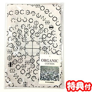 y12/52l1lő100%PzJ^Ji Jo[ 1-8񍇈 100I[KjbNRbg }NJo[ ܂Jo[ J^JiE^q̃fUC _b̊