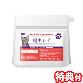 楽天市場 お歳暮 ビール キャットフード サプリメント 猫用品 ペット ペットグッズの通販