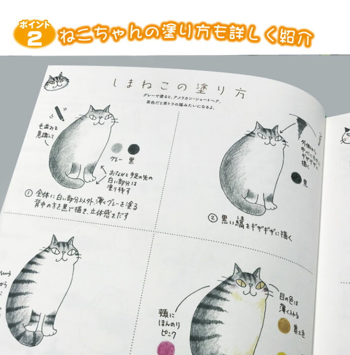 楽天市場 00円クーポン配布中 きまぐれ猫ちゃんズの旅と花いっぱいのぬりえセット ぬりえ2冊 24色鉛筆 コスミック出版 塗り絵 ぬり絵 大人 塗絵 おとな ぬりえ キット 色鉛筆つきで単品購入よりお得なセット 自宅 ホーム 自主学習 マツカメショッピング