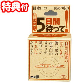 お願いだから5日間待って！排水口ぬめり取り 20g×2個入 排水口クリーナー 台所掃除 排水口洗浄剤 悪臭 ぬめり 対策