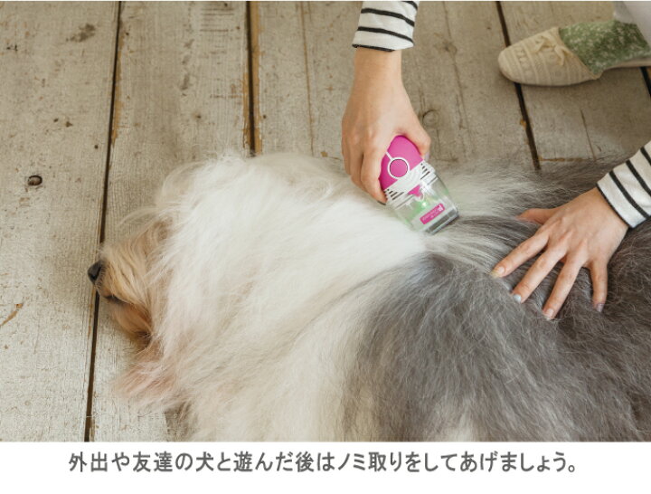 楽天市場 ペット用ノミ取り器 Pe 600 電動吸引 犬猫用 蚤 電池式 ペット用のみ取り器 ライト付き ロゼンスター Pe600 マツカメショッピング 楽天市場 ペット用ノミ取り器 Pe 600 電動吸引 犬猫用 蚤 電池式 ペット用のみ取り器 ライト付き ロゼンスター Pe600 マツカメショッピング