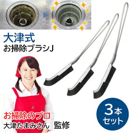 楽天1位 大津式 お掃除ブラシJ（3本組） 掃除プロ 大津たまみさん監修 日本製 大津掃除ブラシ お掃除ブラシジェイ ラクラク掃除 ハケ 台所掃除 掃除キット プロイデア 大津式御掃除スタジオJ おそうじブラシ サッシ 窓 ドア 風呂場 洗面所 マド 事務所 風呂