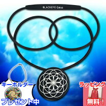 楽天市場】ブラックアイガイアスネックレスの通販