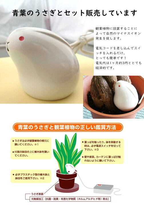 楽天市場】マイカの岩盤浴 M-1000 空気活性器 青葉のうさぎ セット 8畳 