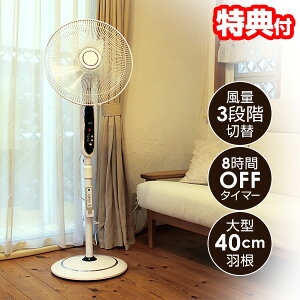 y9/52l1lő100%PzyIԌiiz eNmX nCrO@ ^H40cm Lт@ É T[L[^[  ߗފ@  nCrO KI-F536R 啗 n